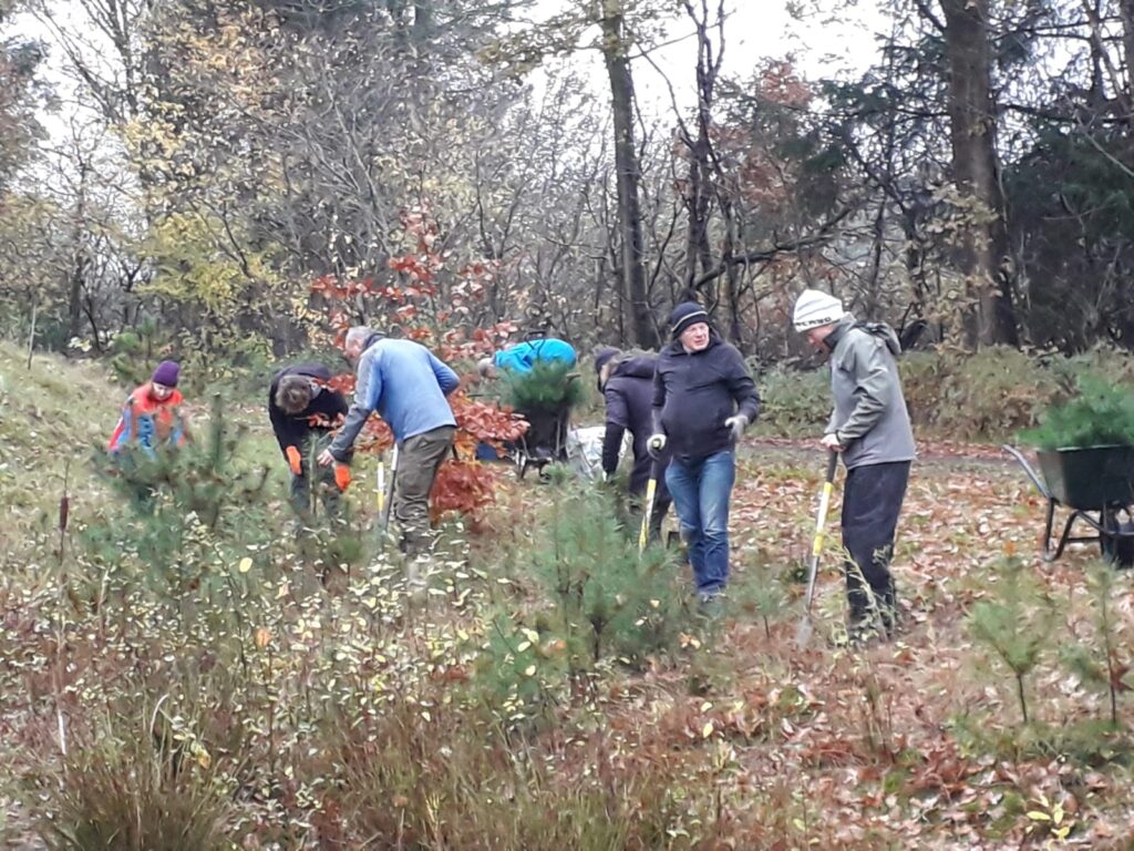 Groen voor iedereen: Olst-Wijhe oogst en deelt zaailingen uit voor 4e jaar op rij