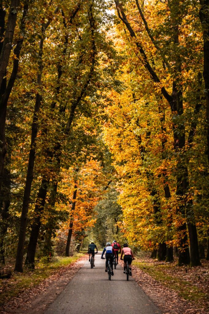 Cycling Lemelerveld MTB sfeerbeeld