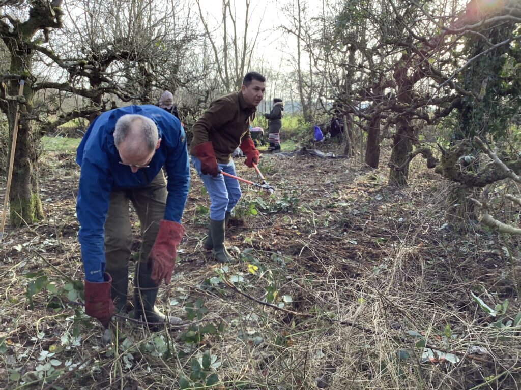 Groene workout? We gaat met stoere statushouders de perenbongerd in