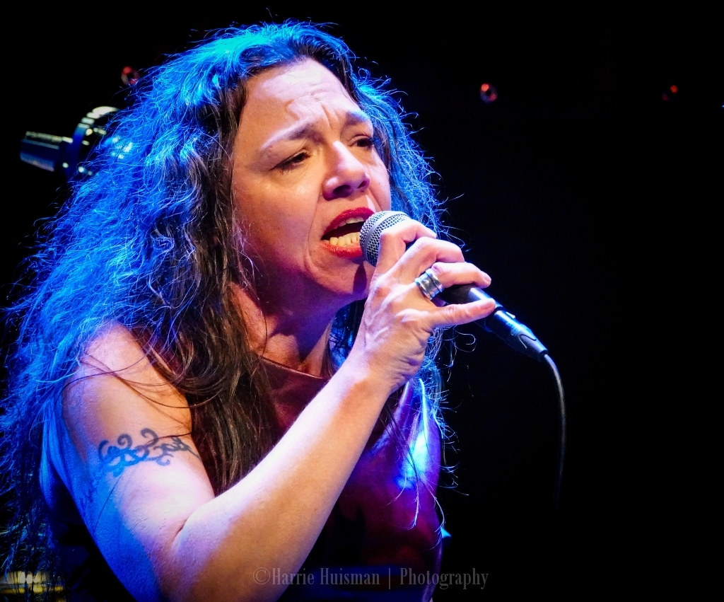 Harrie Huisman Stage Animals