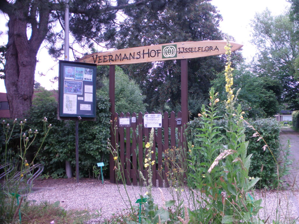 Rondleidingen Heemtuin “Veermans Hof IJsselflora” in Wijhe. Vrijwilligers gezocht!