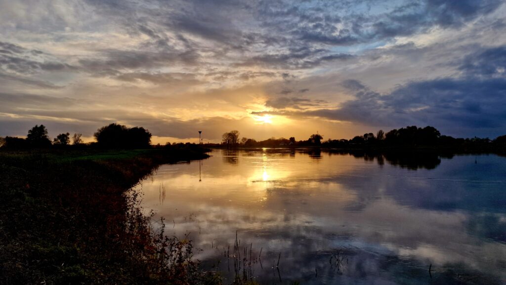 Joke Proper: Kieken in Salland 