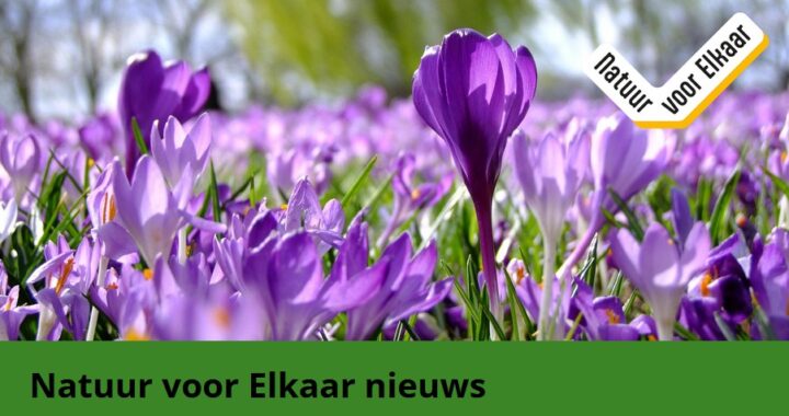 Natuur voor Elkaar nieuwsbrief Natuur & duurzaamheid