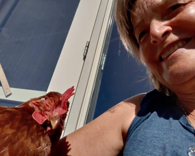 ‘t Natuurlijk Huus: Blije en vrije kippen