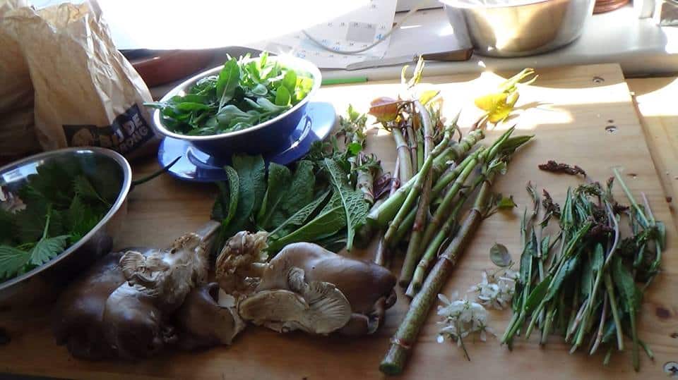 ‘t Natuurlijk Huus: Natuurlijke groenten in het voorjaar