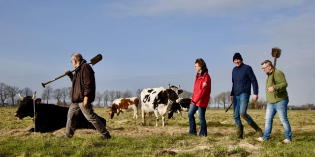 Boer plant hagen en singels tegen droogte, hittestress en als voedsel voor koeien