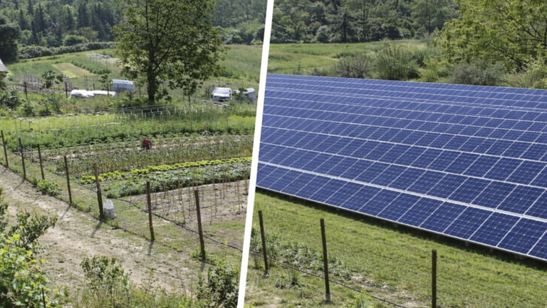 MaatschapWij: Groene energie niet altijd beter!