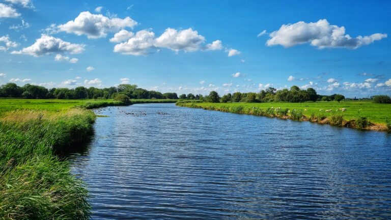 Regen krijgt warm welkom van het Waterschap en haar klanten