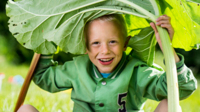 Kinderen van groep 7/8 leren gezond eten door ‘Kok in de Klas’