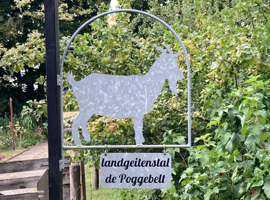 Anneke Schep: Bijzondere tuinen in Salland