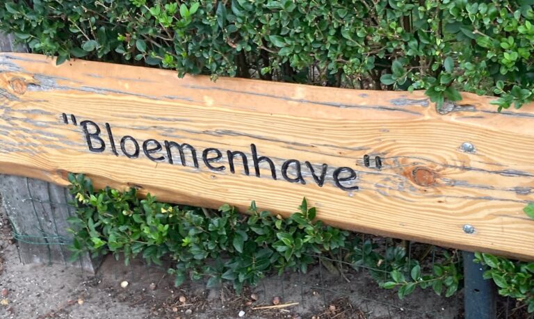 Bijzondere Tuinen in Salland: De Bloemenhave in Lemelerveld