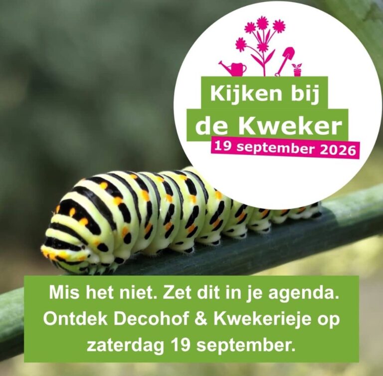‘Kijken bij de Kweker’ bij Decohof en Kwekerieje: ontdek hoe biodiversiteit begint bij de kweker in Hoonhorst